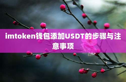 imtoken钱包添加USDT的步骤与注意事项