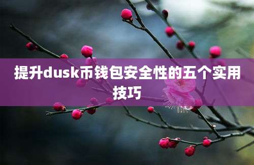 提升dusk币钱包安全性的五个实用技巧