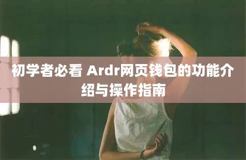 初学者必看 Ardr网页钱包的功能介绍与操作指南