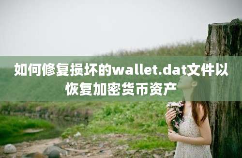 如何修复损坏的wallet.dat文件以恢复加密货币资产