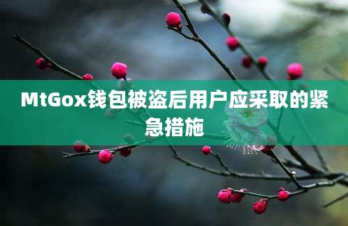 MtGox钱包被盗后用户应采取的紧急措施