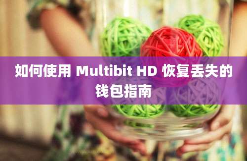 如何使用 Multibit HD 恢复丢失的钱包指南