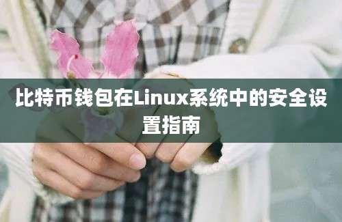 比特币钱包在Linux系统中的安全设置指南