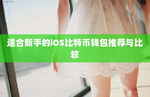 适合新手的iOS比特币钱包推荐与比较