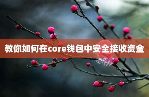 教你如何在core钱包中安全接收资金