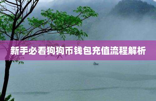 新手必看狗狗币钱包充值流程解析