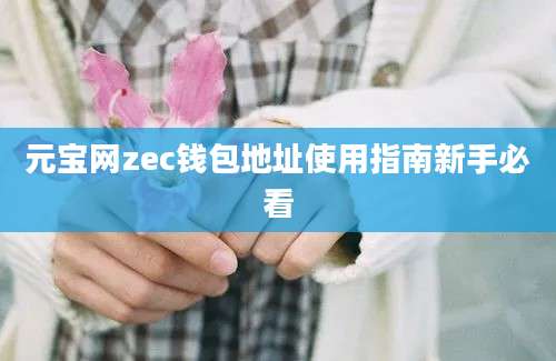 元宝网zec钱包地址使用指南新手必看