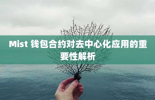 Mist 钱包合约对去中心化应用的重要性解析