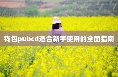 钱包pubcd适合新手使用的全面指南