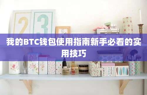 我的BTC钱包使用指南新手必看的实用技巧