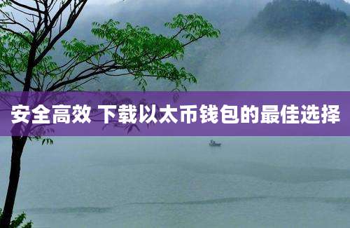 安全高效 下载以太币钱包的最佳选择