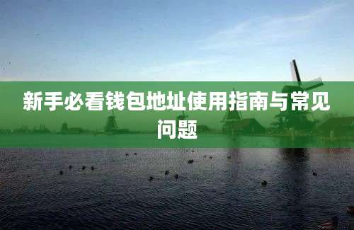 新手必看钱包地址使用指南与常见问题