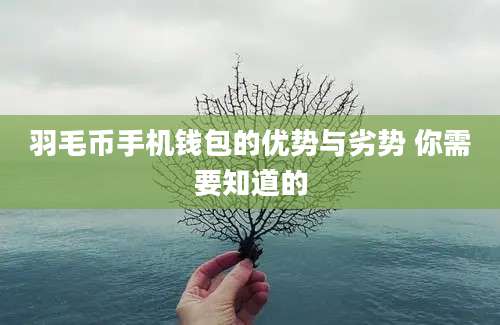 羽毛币手机钱包的优势与劣势 你需要知道的