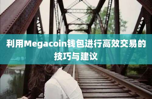 利用Megacoin钱包进行高效交易的技巧与建议