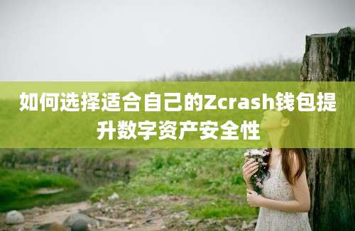 如何选择适合自己的Zcrash钱包提升数字资产安全性