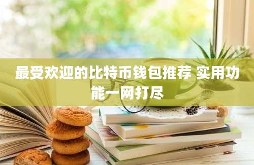 最受欢迎的比特币钱包推荐 实用功能一网打尽