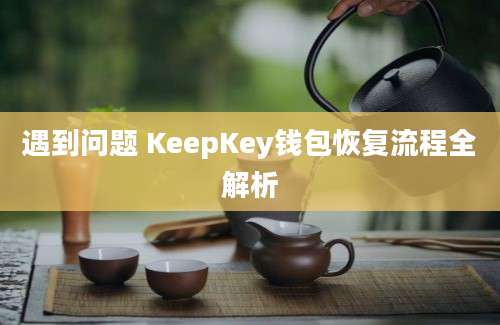 遇到问题 KeepKey钱包恢复流程全解析