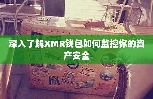 深入了解XMR钱包如何监控你的资产安全