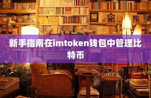 新手指南在imtoken钱包中管理比特币