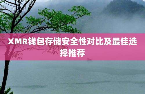 XMR钱包存储安全性对比及最佳选择推荐