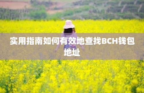 实用指南如何有效地查找BCH钱包地址