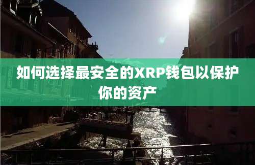 如何选择最安全的XRP钱包以保护你的资产