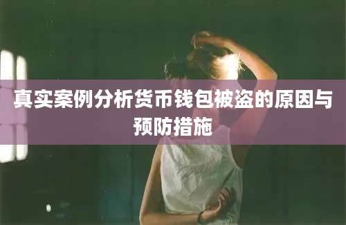 真实案例分析货币钱包被盗的原因与预防措施