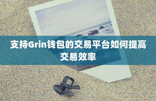 支持Grin钱包的交易平台如何提高交易效率