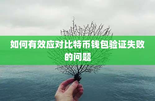 如何有效应对比特币钱包验证失败的问题