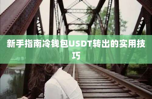 新手指南冷钱包USDT转出的实用技巧