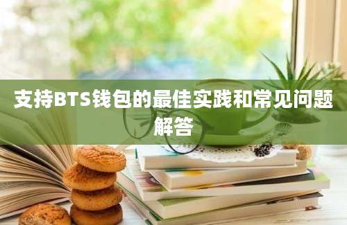 支持BTS钱包的最佳实践和常见问题解答