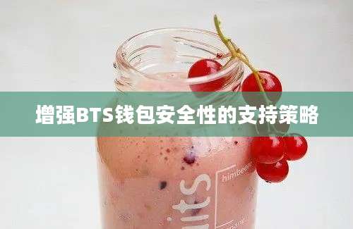 增强BTS钱包安全性的支持策略