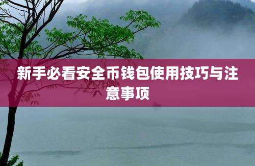 新手必看安全币钱包使用技巧与注意事项