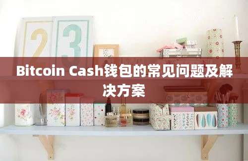 Bitcoin Cash钱包的常见问题及解决方案