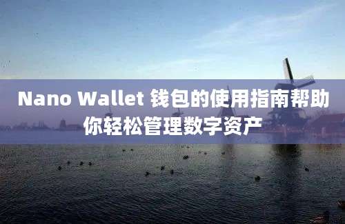 Nano Wallet 钱包的使用指南帮助你轻松管理数字资产