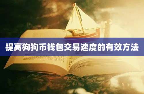 提高狗狗币钱包交易速度的有效方法