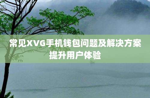 常见XVG手机钱包问题及解决方案提升用户体验