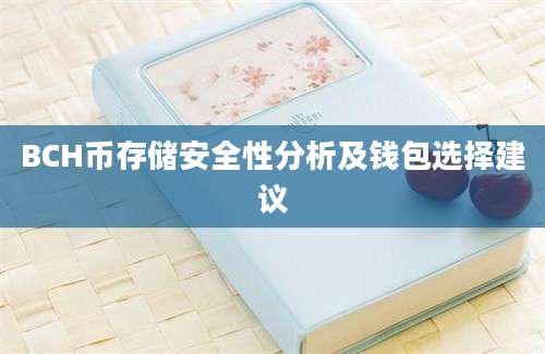 BCH币存储安全性分析及钱包选择建议