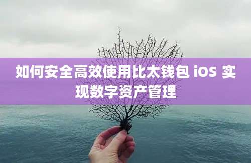 如何安全高效使用比太钱包 iOS 实现数字资产管理