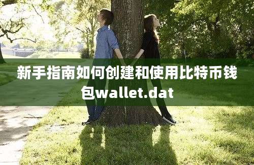 新手指南如何创建和使用比特币钱包wallet.dat