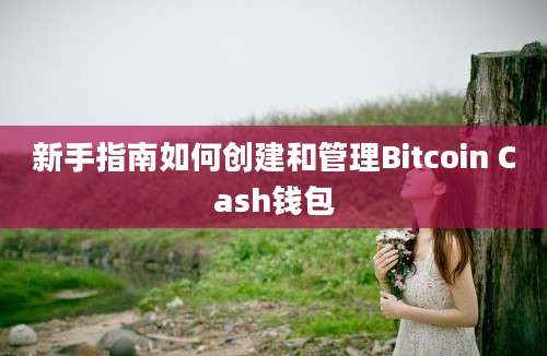 新手指南如何创建和管理Bitcoin Cash钱包