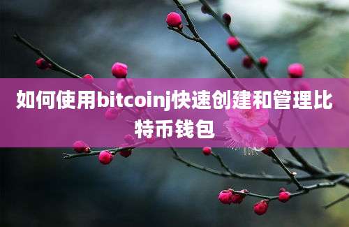 如何使用bitcoinj快速创建和管理比特币钱包