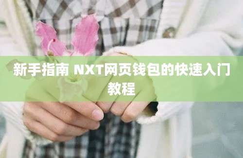 新手指南 NXT网页钱包的快速入门教程