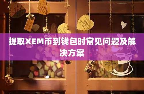 提取XEM币到钱包时常见问题及解决方案