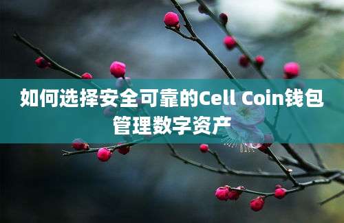 如何选择安全可靠的Cell Coin钱包管理数字资产