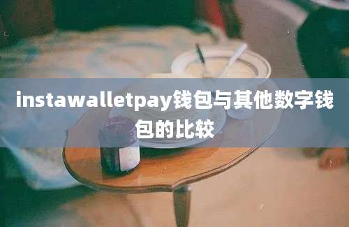 instawalletpay钱包与其他数字钱包的比较