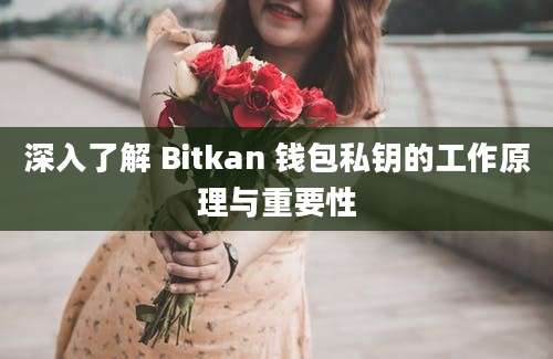 深入了解 Bitkan 钱包私钥的工作原理与重要性