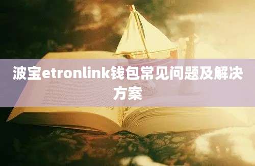 波宝etronlink钱包常见问题及解决方案