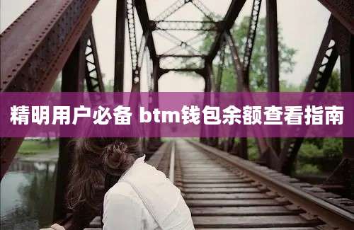 精明用户必备 btm钱包余额查看指南