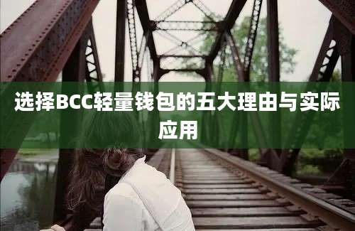 选择BCC轻量钱包的五大理由与实际应用